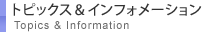 �g�s�b�N�X���C���t�H���[�V����